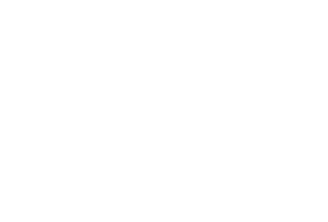 Partner brand logo