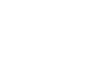 Partner brand logo