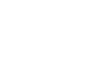 Partner brand logo
