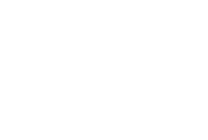 Partner brand logo